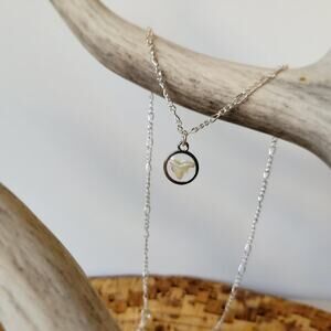 Handmade Coyote Tooth Pendant on 18" Silver Tone Chain